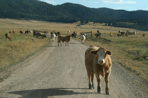 What To Do When You Have Writer’s Block