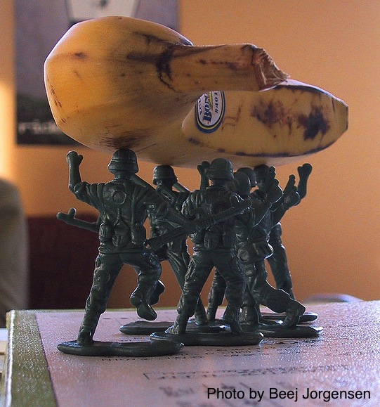 Announcing the DIY MFA Team